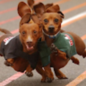 Meet your Posher, Liz